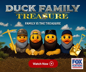 300 by 250 display ad